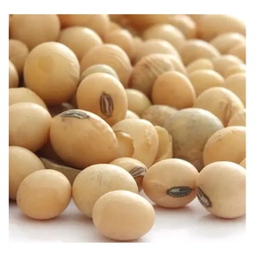 Achetez des graines de soja en vrac, graines de soja pures de haute qualité à vendre, idéales pour la vente en gros, la vente au détail et l'agriculture - Product Image 3