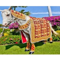 Costume de cheval classique traditionnel en velours moderne pour cérémonie indienne Baraat, mariage sud-asiatique, léger, professionnel, pour l'extérieur