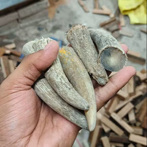 Material Natural Tallado Ecológico de Punta de Cuerno de Búfalo para Decoración del Hogar y Proyectos de Bricolaje - Product Image 2