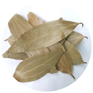 Daun kayu manis Vietnam (Cinnamomum cassia) diekspor dalam jumlah besar