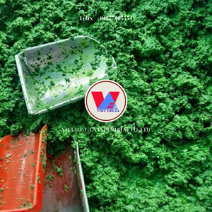HOJAS DE YUCA CONGELADAS/ETIQUETA LIMPIA/A BASE VEGETAL/VERDE NATURAL - Product Image 4