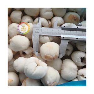 <b>Frozen</b> Lychee Peeled And <b>Frozen</b> IQF Technology From Vietnam Perfect For Juice And <b>Frozen</b> Dessert - Product Image 6