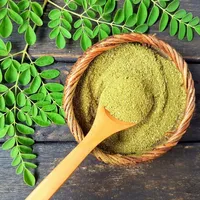 Poudre d'extrait de feuille de Moringa durable, qualité alimentaire, emballée sous vide dans un bocal Mason, culture artificielle toutes saisons