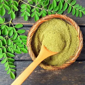 Poudre d'extrait de feuille de Moringa durable, qualité alimentaire, emballée sous vide dans un bocal Mason, pour la culture artificielle - Product Image 2