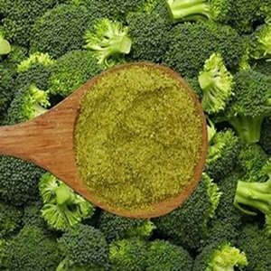 Brócoli fresco orgánico de tamaño familiar disponible a precio mayorista para exportación - Product Image 1