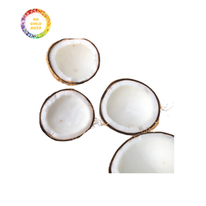 มะพร้าวสดพร้อมเนื้อพรีเมี่ยมและน้ำหวานสำหรับส่งออก - Product Image 6