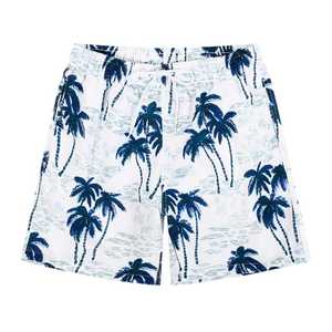 2024 Best-seller 15 couleurs été hommes Surf Board Blank Beach Shorts Logo personnalisé hommes Board Shorts en gros - Product Image 1