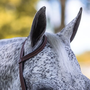 Producto de questrian ORSE idding lassic, ooled - Product Image 4