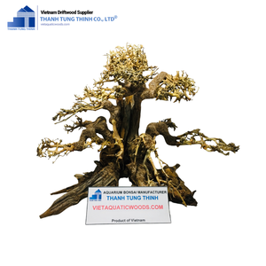 Nuevo diseño 2025 Premium Bonsai Driftwood para decoración hogar/Acuario pecera - Product Image 1