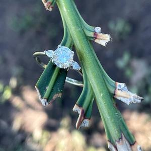 Igi แหวนเพชรกลมสำหรับงานแต่งงานและงานหมั้นแหวนทอง14K สำหรับใส่ในแล็บ - Product Image 6