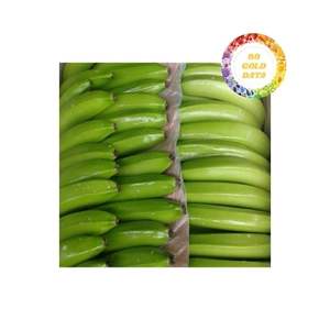 Premier fournisseur de bananes Cavendish du Vietnam 99 données sur l'or exportant des produits de qualité supérieure avec un goût constant - Product Image 2