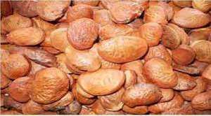 Exportación de aceite de Karanja orgánico de alta calidad, buena calidad con fabricación de embalaje personalizada en India - Product Image 5