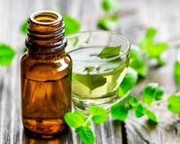 Huile Essentielle de Bergamote et Menthe 100% Pure, Arôme Frais Naturel, Qualité Cosmétique, Vente en Gros