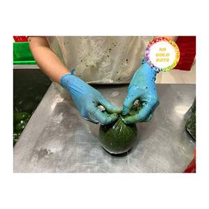 PURÉE DE FEUILLES DE MANISAVA CONGELÉES DU VIETNAM PRODUIT DE FEUILLES DE LÉGUMES VERTES PRÊT À CUIRE FOURNISSEUR D'EXPORTATION EN GROS - Product Image 5