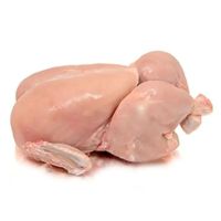 Pollo congelado empacado para satisfacer la demanda mayorista de cadenas de restaurantes y distribuidores de importación global Oferta especial