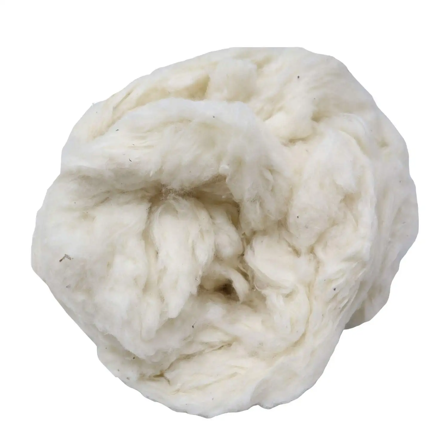 Fibra di cotone grezzo organico al 100%-colore naturale 100% GOTS fibra di cotone grezzo biologico certificato