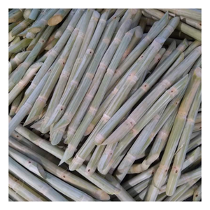 Mejor cotización para pedidos de exportación a granel de caña de azúcar congelada procesada a partir de caña fresca para un rendimiento constante de jugo - Product Image 1