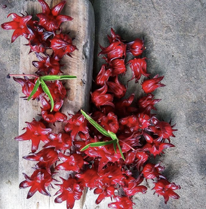 กลีบดอกชบาแห้งเกรดสูงสำหรับถุงชาและอาหารผสมขายส่งจากเวียดนาม - Product Image 3