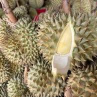 Calidad Premium Khey Taladthai Grade Monthong Durian 0,5 kg Recién cosechado Empaquetado para una frescura óptima Bursting Rich Durian - Product Image 5