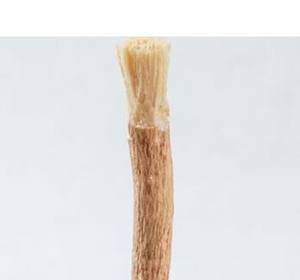 Global Choice <b>Miswak</b> Stick Herbal Organic <b>Toothbrush</b> Natural Whitening Daily Dental Hygiene Fresh Breath Plaque Removal - Product Image 1