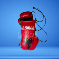 Mini-gants de boxe personnalisés durables en cuir PU, design drapeau national, porte-clés de voiture, pour la vente en gros, OEM Albanie Grèce