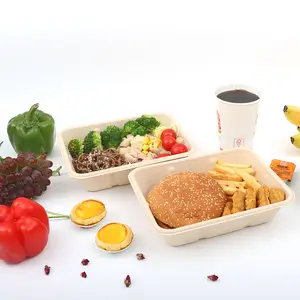 Conteneur thermoformé Bento Déjeuner Traiteur Boîte à emporter Alimentaire à clapet Robuste Biodégradable Micro-ondes Jetable Moderne 5000pcs