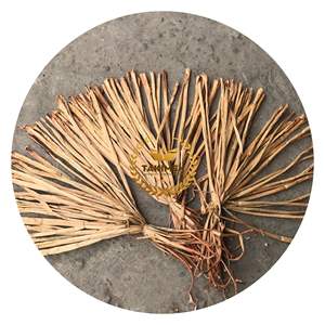 PRECIO MUY BARATO MATERIA PRIMA ECOLÓGICA AGUA SECA JACINTO CANTIDAD A GRANEL DE MUY ALTA CALIDAD DE VIETNAM - Product Image 1