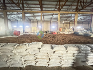 Polvo de goma árabe de acacia de Sudán de alta calidad y goma árabe Talha multiusos todo tipo de goma árabe - Product Image 6