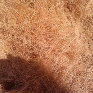 Fibre de noix de coco séchée de super qualité/Produit agricole vendu à chaud du Vietnam à un prix compétitif - Product Image 2