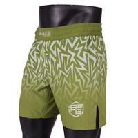 Shorts de grappling MMA personnalisés avec logo imprimé, tissu de qualité, taille élastique mi-haute, séchage rapide, respirant, vêtements d'entraînement sportif pour hommes