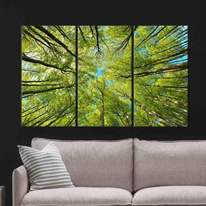 งานศิลปะบนผ้าใบพิมพ์ลายสวยงาม: ภาพต้นไม้สีเขียวสำหรับแขวนผนัง,3P: ห่อหุ้มอย่างดี - Product Image 1
