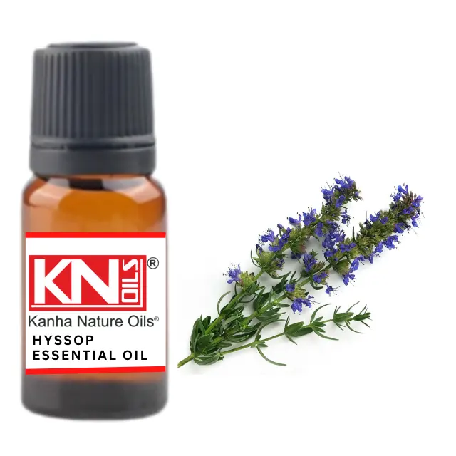 Buy Bulk Wholesale price HYSSOP ESSENTIAL OIL from india largest manufacture kanha nature oils