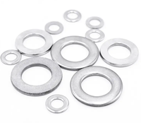 High Precision Din125 Din9021 Metal Flat Washers Stainless Steel A2 A4 304 316 Plain Flat Gasket Washer M4 M6 M8 M16 Flat Bronze