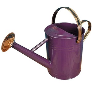 Arrosoir galvanisé de nouvelle conception pour la maison et le jardin avec le bidon d'eau de finition personnalisé - Product Image 1