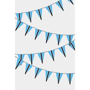 Guirnalda de Banderines Triangulares de Botsuana para Decoración de Fiestas - Product Image 1