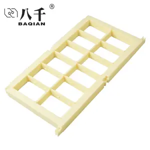 Beekeeping supplier Accessories 250g Honey Cassette Box plastic bee hive comb Frame