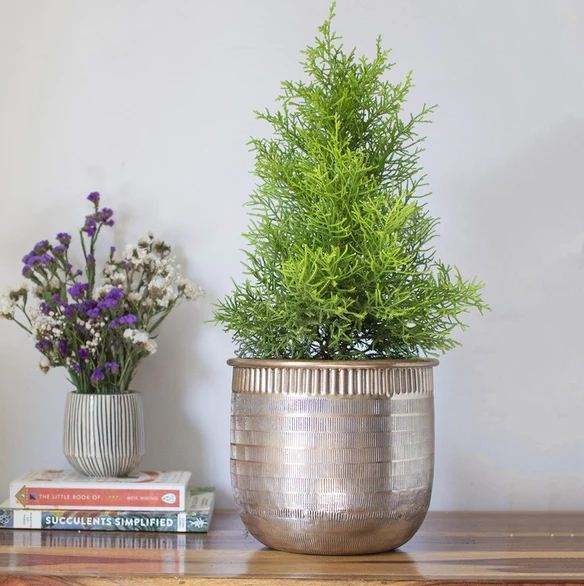 เงินโบราณ