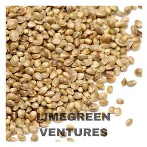 Graines de cœurs de chanvre décortiquées biologiques à double langue, exportation en gros depuis l'Inde, durée de conservation de 12 mois - Product Image 1