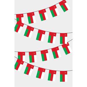 Guirnalda de Banderines Rectangulares de Omán para Decoración de Fiestas - Product Image 1