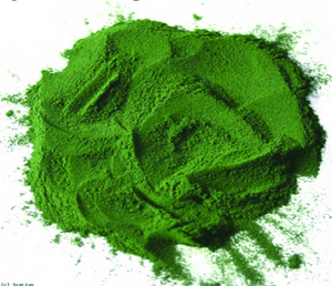 ULVA LACTUCA/ SEA LETTUCE/ GREEN <b>SEAWEED</b> POWDER // Ms. Shyn - Product Image 6