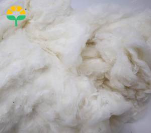 Wholesale 100% Pure <b>Kapok</b> Bales Fiber Bleached Eco-Friendly Easy Use US Origin European Exporter's Raw Material for <b>Filling</b> - Product Image 5