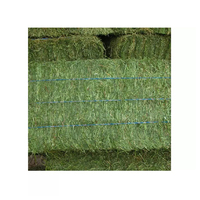 Pellets et balles de foin d'alfalfa de qualité supérieure, de qualité alimentaire, pour chevaux, bovins et porcs, avec une durée de conservation de 2 ans - Emballage de 25 kg/sac