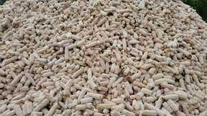 Épis de maïs jaune séchés en vrac pour l'alimentation des chevaux, des porcs et des poissons - Qualité supérieure 25 kg/sac - Product Image 5