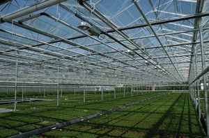 Invernadero Solar Fotovoltaico de Vidrio de Gran Altura y Múltiples Vetas para Agricultura y Cultivo de Vegetales - Product Image 3