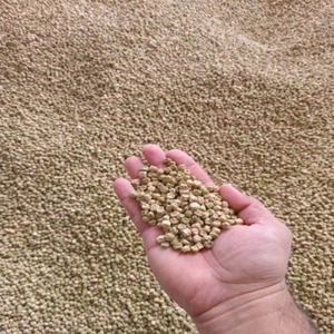 Pois secs entiers (bruns) de qualité supérieure, culture courante, exportation, 25 kg, durée de conservation de 24 mois, à vendre - Product Image 1