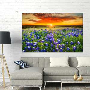 Tableau imprimé sur toile : Décoration murale Paysage champêtre Bluebonnet, toile enveloppée 1P - Product Image 1