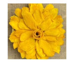 Rodajas de Mango Seco orgánico de Vietnam bajo en azúcar con sabor dulce natural-Mango seco de bajo precio del fabricante - Product Image 1