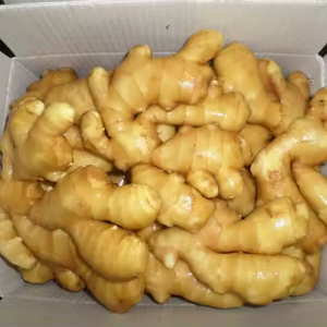 ขิงสดพืชใหม่สำหรับขายรากขิงขิงคุณภาพสูงจากสารสกัดขิงรสเผ็ดและมีกลิ่นหอม - Product Image 2