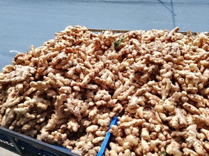 El proveedor de productos agrícolas de Bao Tram Anh Company de Vietnam ofrece jengibre fresco a granel - Product Image 2