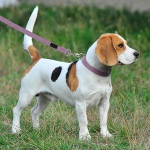 Lavender <b>Dog</b> <b>Collars</b> Elegant Design Durable Material Adjustable Strap Lightweight Comfortable Perfect for Fashionable Pets - Product Image 6